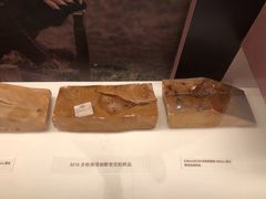 -中国北方国际射击场