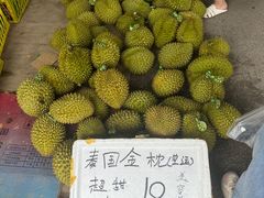 -海吉星市场