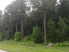 -五营红松林海景区