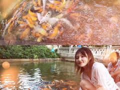 -珠海圆明新园