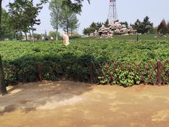 -羊亭河湿地公园