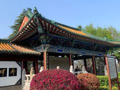 -阅江楼风景区