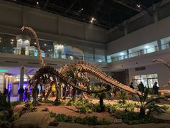 -自贡恐龙博物馆