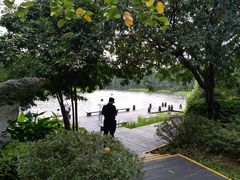 -广州七星岗古海岸遗址科学公园