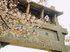 -樱花山风景区