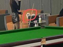-开开桌球俱乐部