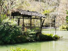 -桂林古东瀑布景区
