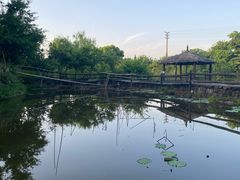 -驿舍·民國老营房院子私房菜(科学会堂店)