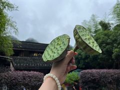 -Peet's Coffee皮爷咖啡(德基店)