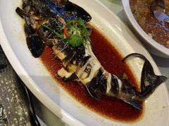 中华鲟-满汉楼(江畔店)