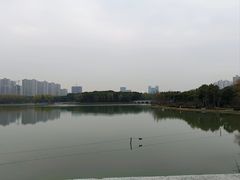 -昆山城市生态森林公园