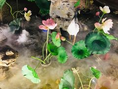 -苏浙徽·江南荟·本味融合菜(相城方圆里店)