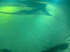 -白鹤梁水下博物馆