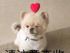 -釜山火炉韩式炭火烤肉(欧洲城店)