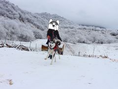 -太子岭滑雪场