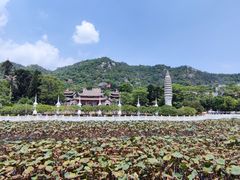 -南普陀素菜馆