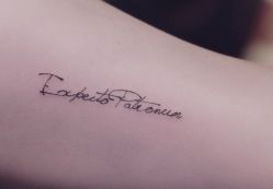 -见雾TATTOO STUDIO