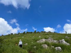 -长虫山生态公园风景林