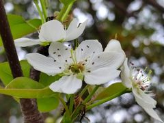 -八大山人梅湖景区