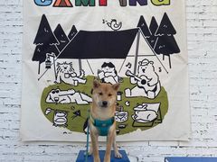 -小意思咖啡店(草桥店)