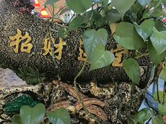 -黑土人家(江桥万达广场店)
