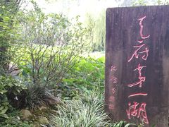 -桂湖森林公园
