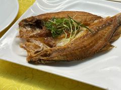 东海黄花鱼（香煎）-海鲜街菜馆(海珠南路店)