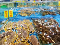 -新农都水产市场