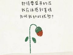 -曼朗心理咨询·旗舰店
