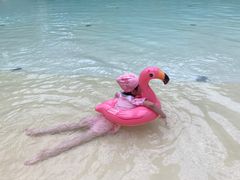 -杭州开元森泊度假乐园