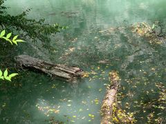 -叠溪松坪沟景区