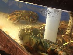 -鱼乐轩海鲜专门店