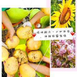 -麦粒鸟亲子游