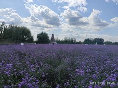 -渔岛海洋度假区