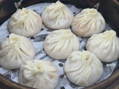 -莱莱小笼·乔艾