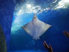 -鹿儿岛水族馆
