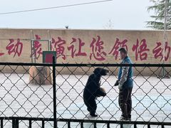 -东方熊牧场