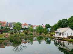 -大塘金香草谷