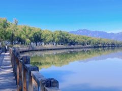 -野鸭湖国家湿地公园