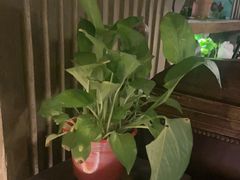 -凯撒城堡西餐厅(颐和国际店)