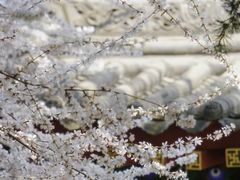 -西安市广仁寺