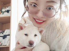 -柴犬小屋·柴餐厅·狗咖食堂(金鼎广场店)