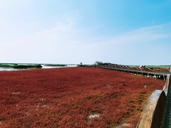 -红海滩国家风景廊道
