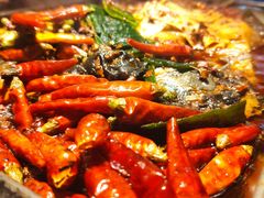 -探鱼·鲜青椒爽麻烤鱼(西南商都店)