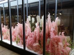 -拈菜(观音桥阳光世纪店)