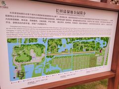 -长田漾湿地公园