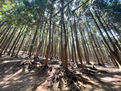 -含鄱口