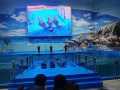 -福州罗源湾海洋世界旅游区