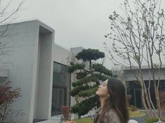-桃花岛景观公园