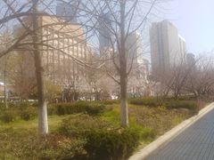 -青岛市图书馆
